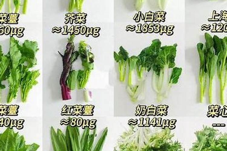 绿叶花一般都需要上点什么肥料