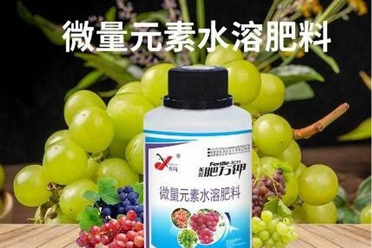 我想知道,九斤黄山药种植技术？