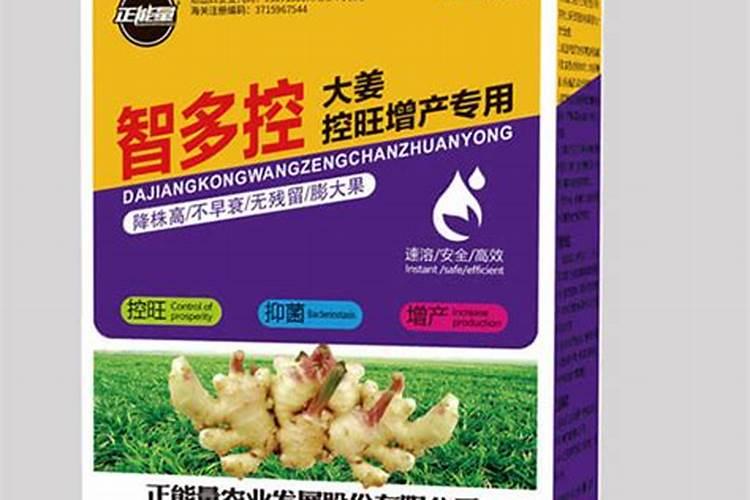 大姜使用的肥料有哪些？应该如何科学给大姜施肥？