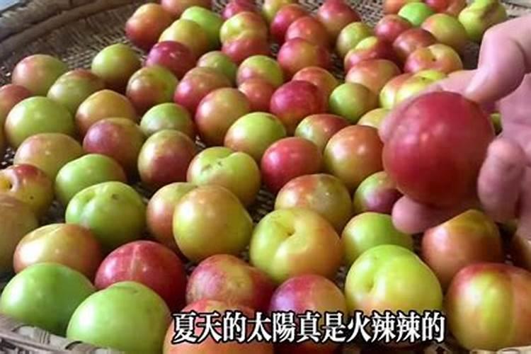 李子树增甜施什么肥料好？让李子膨大的方法是什么？