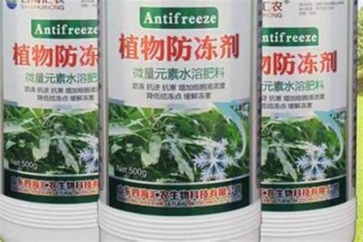 多肉防冻剂有用吗
