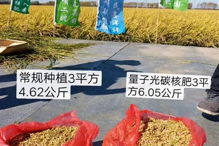磷肥氮肥尿素复合肥的区别