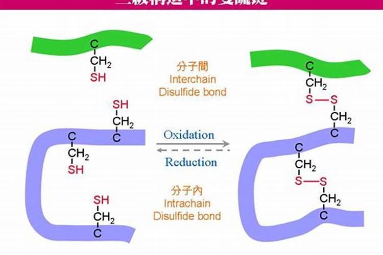 鱼蛋白肥料的功效与作用