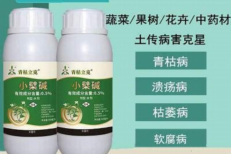 春雷喹啉铜与青枯立克能混用吗