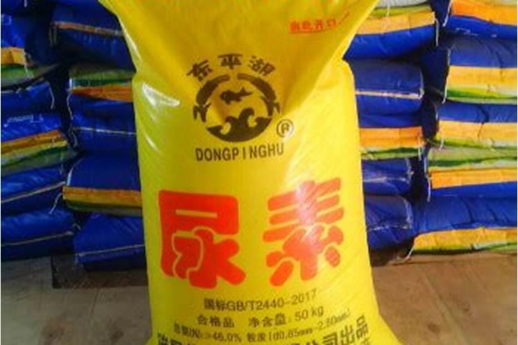 复合肥可以浇长寿花吗
