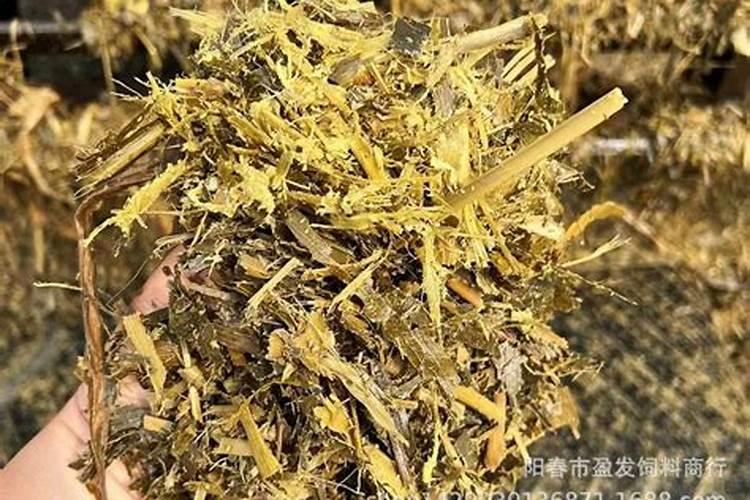 玉米打叶面肥好还是追尿素好