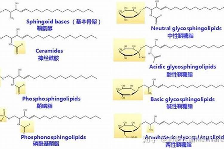 与地形角度分析洞口县有利于柑橘身上的气候条件？
