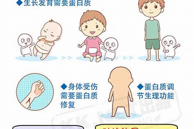 鱼蛋白有什么作用