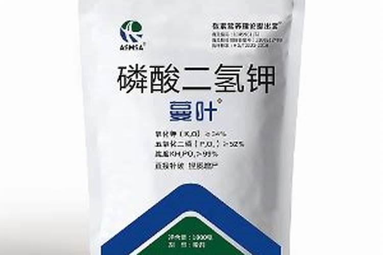 冬天种植玉米如何种 冬天种植玉米怎么种