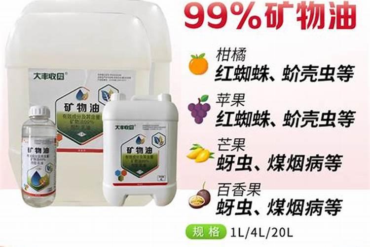 绿宝瓜容易烂是什么原因？