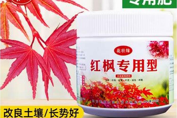 红叶为什么秋天变红