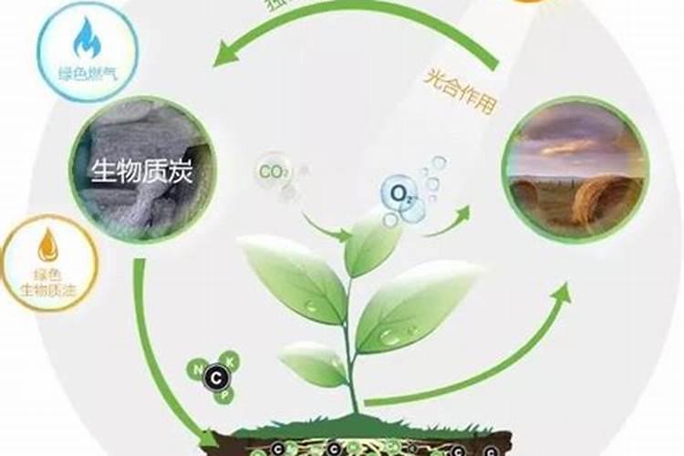 磷酸二氢钾加红糖加尿素对作物起到什么作用