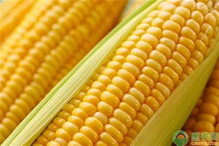 柑橘专用叶面肥 果树叶面肥哪家好 柑橘用什么叶面肥效果好
