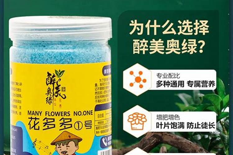 盆栽桔树什么时间施肥