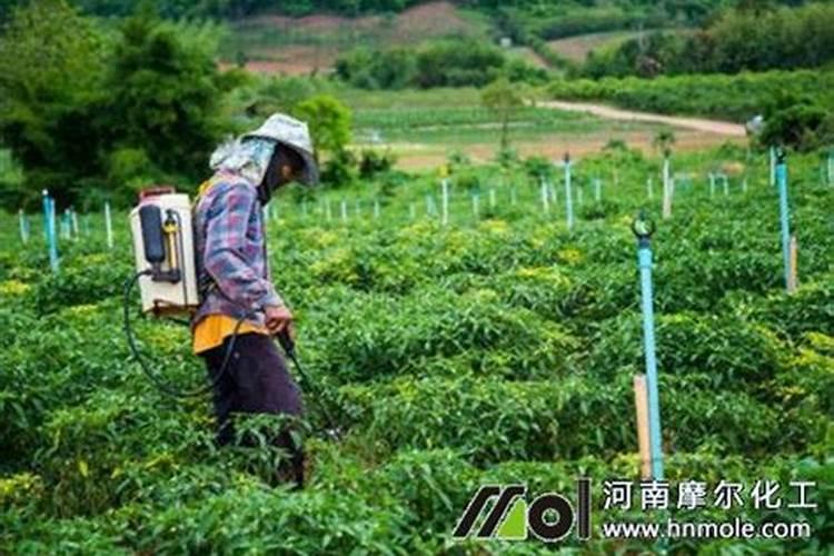 施用氮肥过多对植物有什么影响