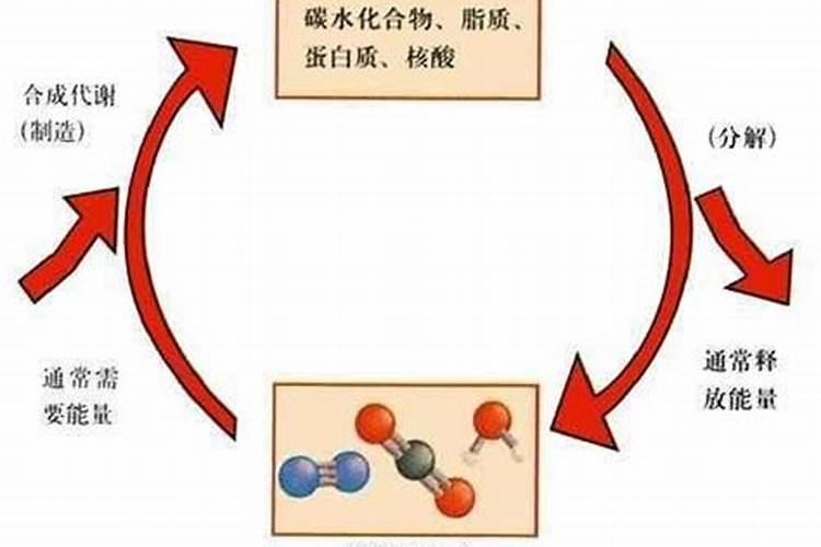 se是什么化学元素
