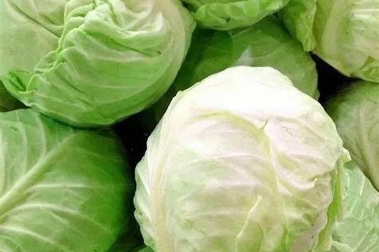 蔬菜种植补钙技巧 蔬菜种植怎么补钙