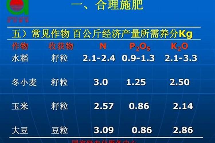 小麦如何施肥 小麦的施肥方法