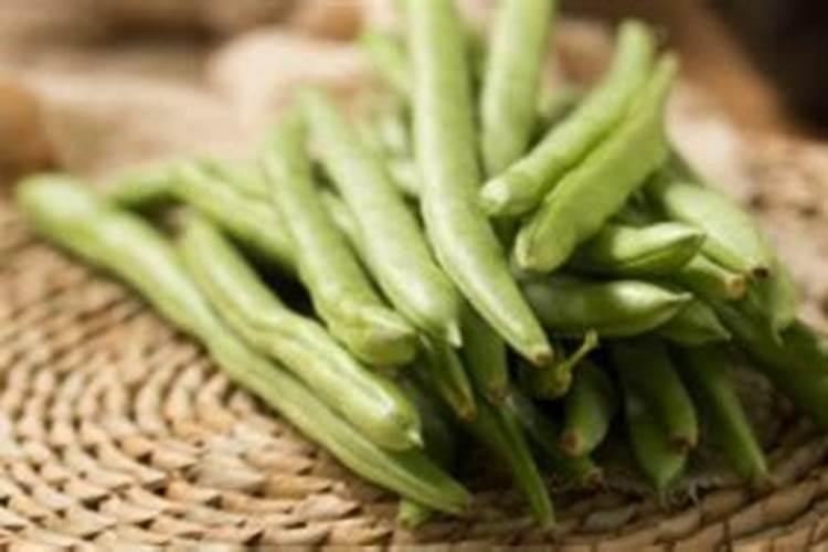 四季豆喷什么叶面肥好