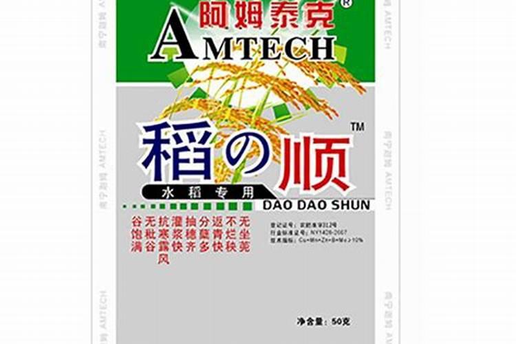 意大利生菜的种植方法和时间