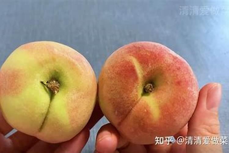 桃树施什么肥