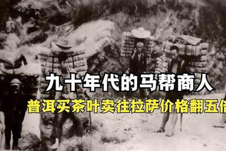 茶叶专用有机肥料