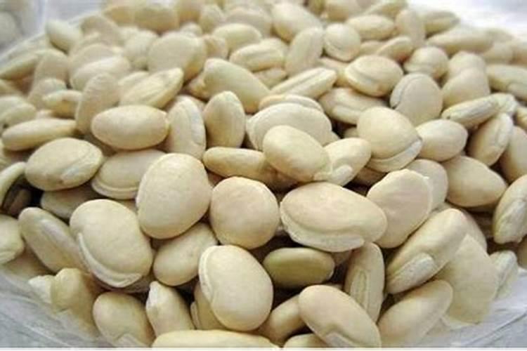 芸豆上什么肥料最好