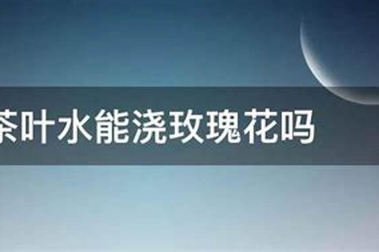 玫瑰花施肥施什么肥料,施肥太多了怎么办