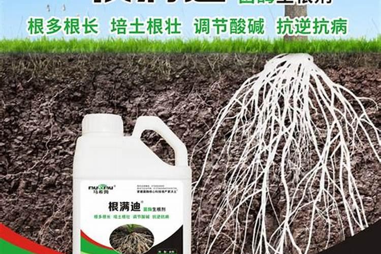 植物生根剂的使用方法 快速生根剂怎样使用效果好