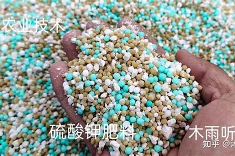 有机肥和化肥的区别