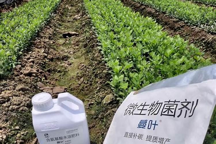生根剂水溶肥叶面喷施效果会好吗