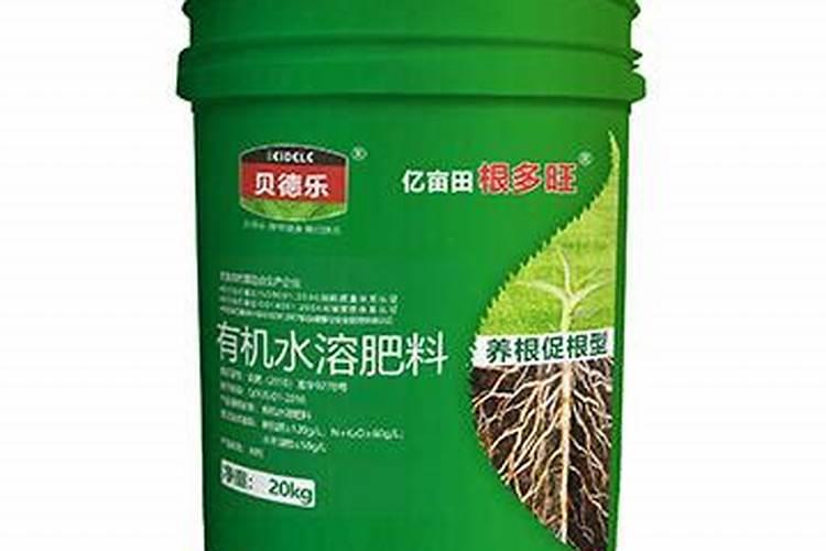 什么肥料促进根系生长