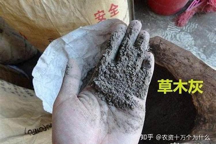 草木灰是什么肥