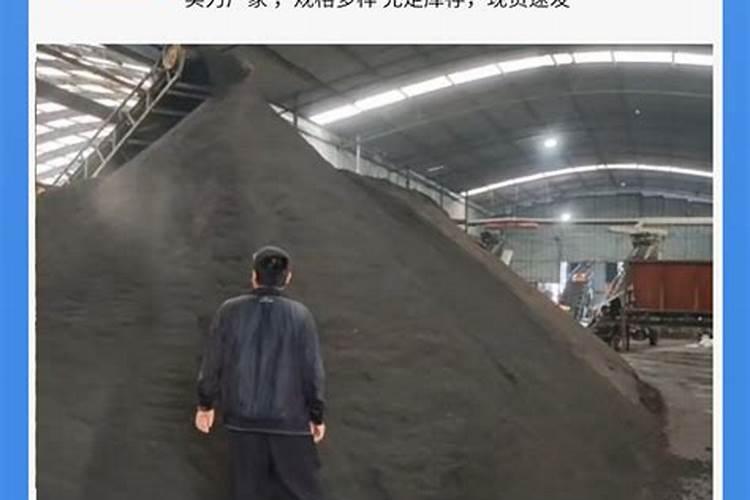 绿萝多少钱一棵？2020年绿萝价格最新价格