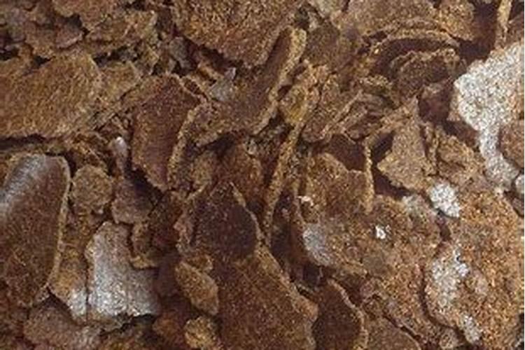 矿源黄腐酸钾可以用在新移栽的树苗吗？