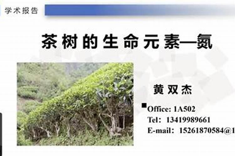 土壤病害有什么症状？
