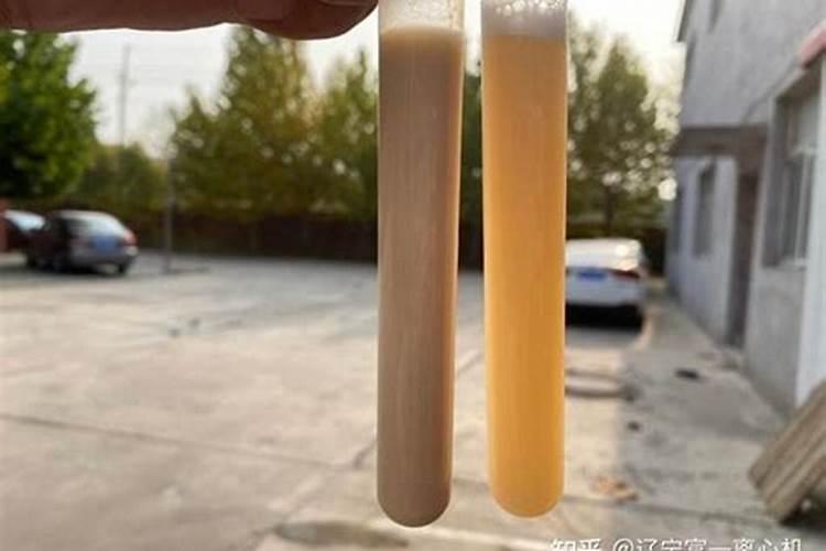红糖蜂蜜酵母液属于氮肥吗对吗