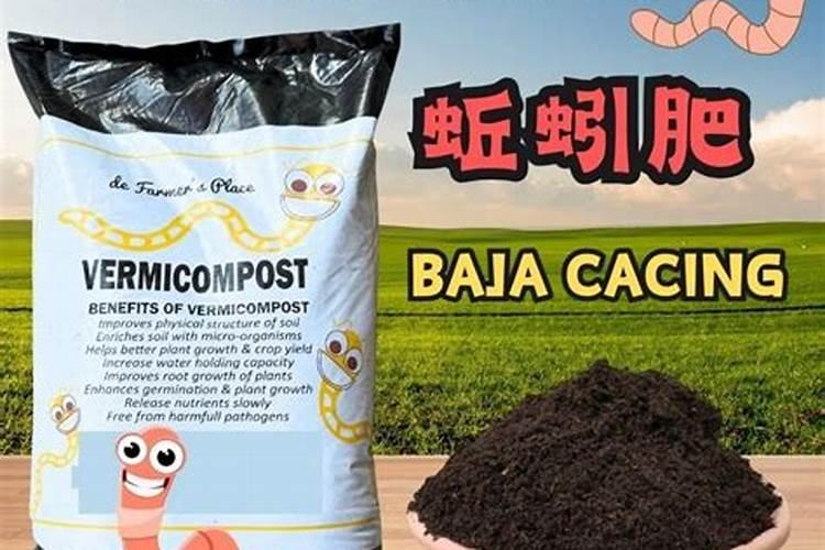 沁阳市润田蚯蚓养殖有限公司怎么样？