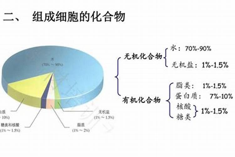 氮肥是什么肥料