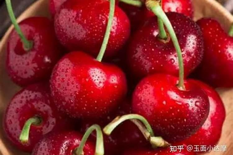 种车厘子,葡萄树苗怎么施肥好？