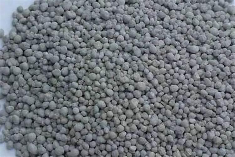 兰花开花后该怎么处理