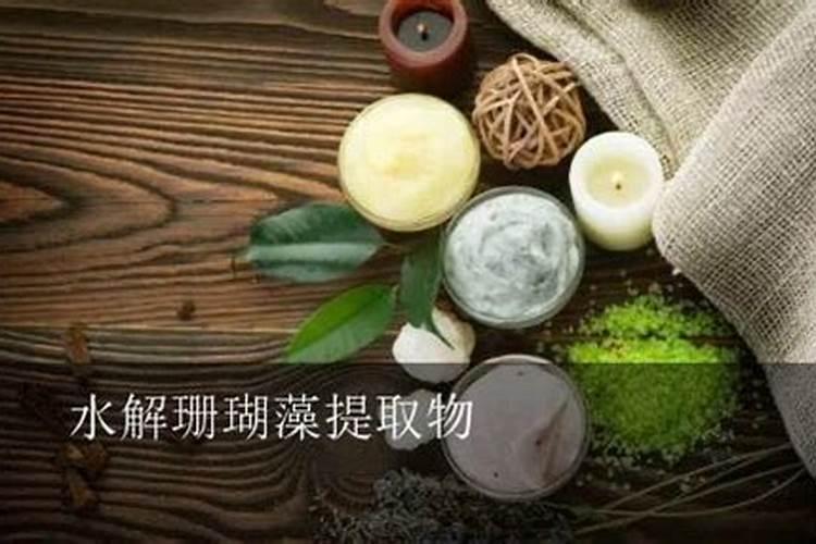 海藻精自制发酵方法