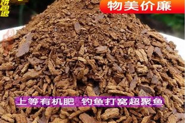 盆景施肥用什么肥料(盆景浇什么肥)