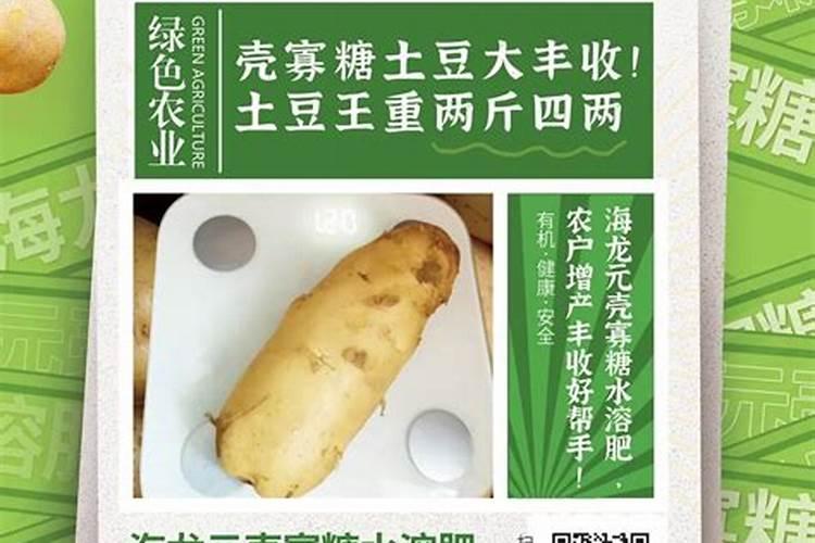 土豆追肥时间和追什么肥 种土豆芽朝上还是朝下