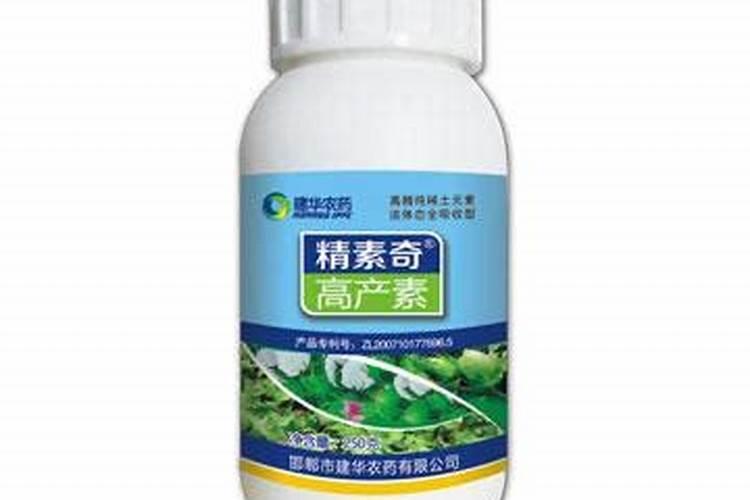 马铃薯冻害以后怎么办