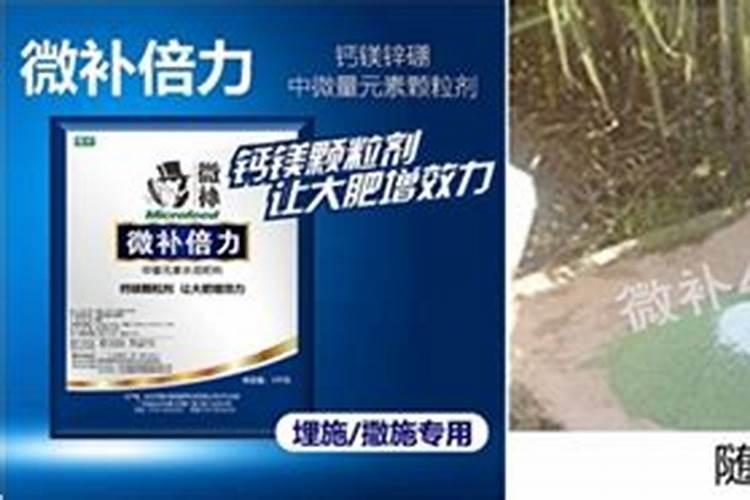 枣树施肥管理是怎样的