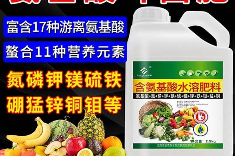 氨基酸叶面喷施 猴桃叶面喷施氨基酸增产增收效果好