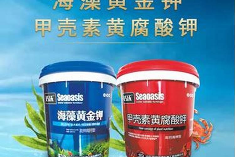 金边吊兰养多久抽穗 金边吊兰何时会开花？