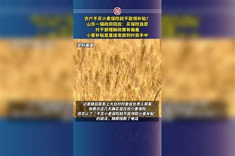 小麦增产肥料哪种好？河南小麦追施肥使用哪个牌子的叶面肥好百度...