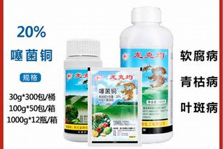 西红柿烂尖是怎么回事？
